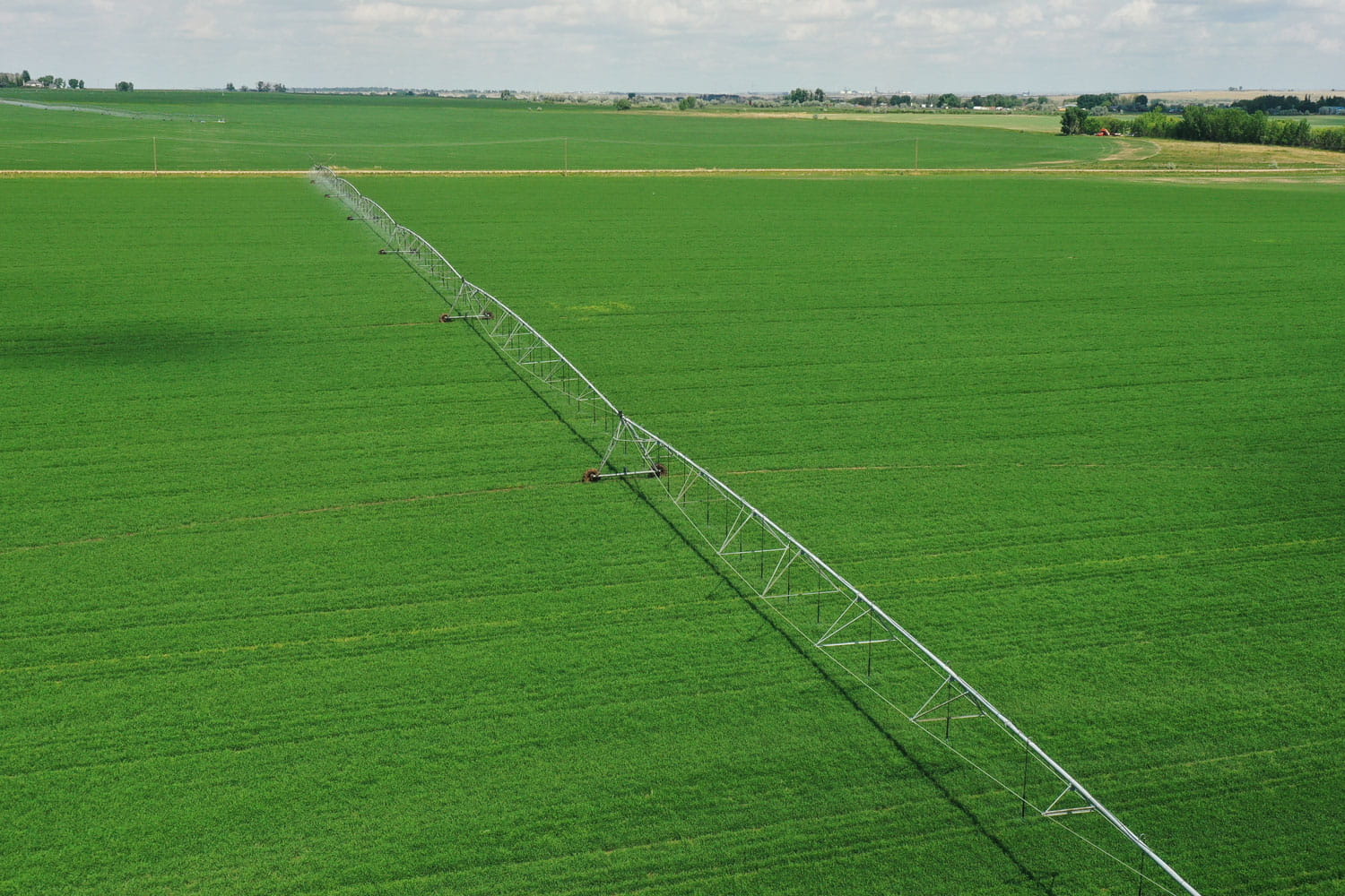 Ariel view of field with irrigation pivot