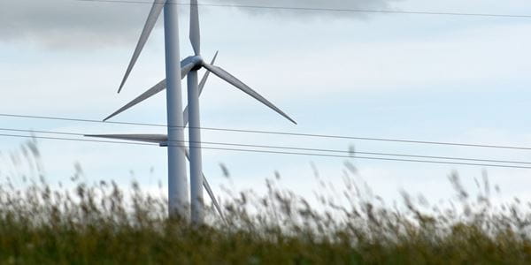 Wind turbines in a field