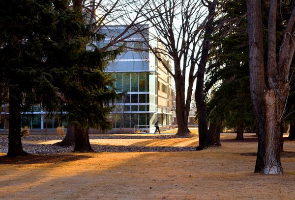 MHC campus library exterior through some trees