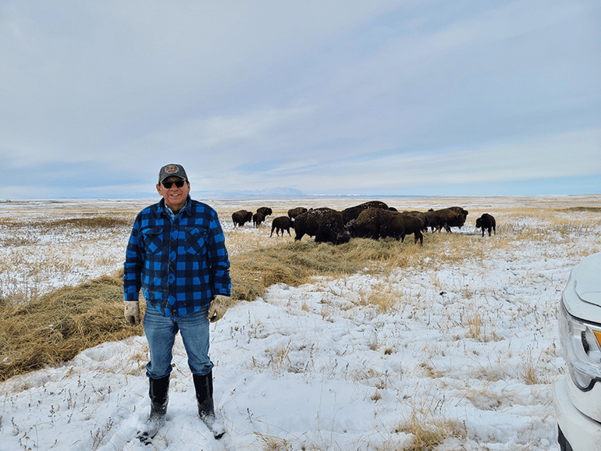 Elder Dan Fox stands in front of a group of bison in the winter prairie