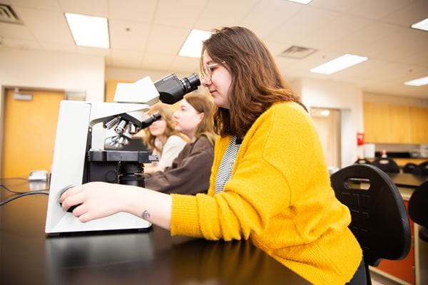 Student in bright yellow sweater looking into a microscope