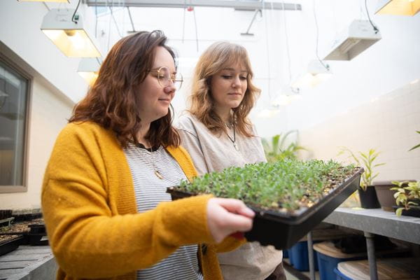 Two students holding a tray of plants