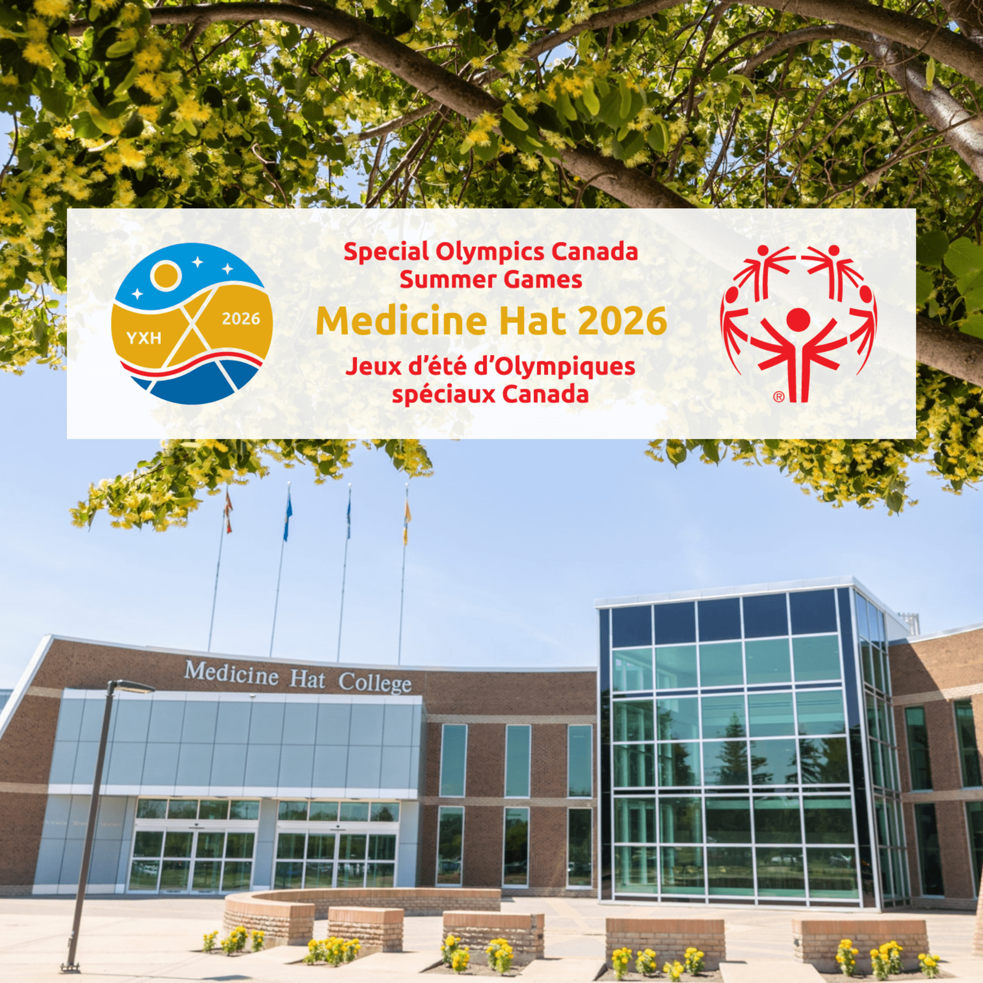 Front view of MHC campus entrance with tree blossoming yellow flowers, with an overlay of the Special Olympics logo. 