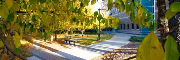 Walking path outside of library.