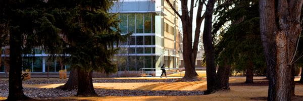 Exterior view of Vera Bracken Library with student walking 