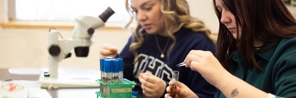 Photo of students in a science lab