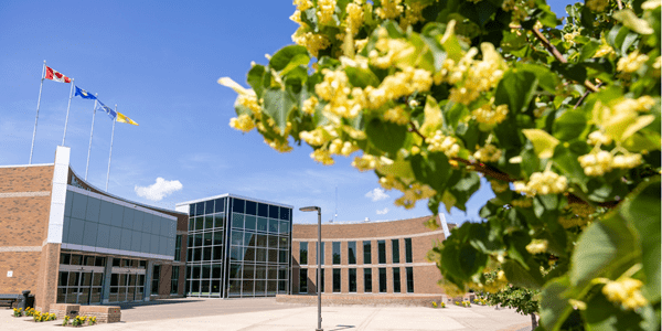 Wide shot of campus with blossoming tree overlapping building. 