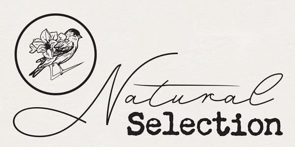 Natural Selection logo with Title