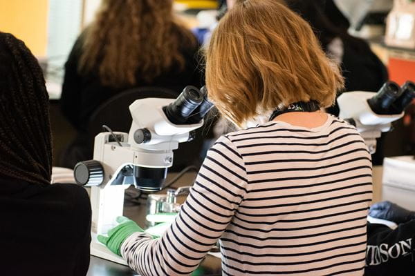 A female student wearing green latex gloves looks into a microscope at a STEM for a Day event