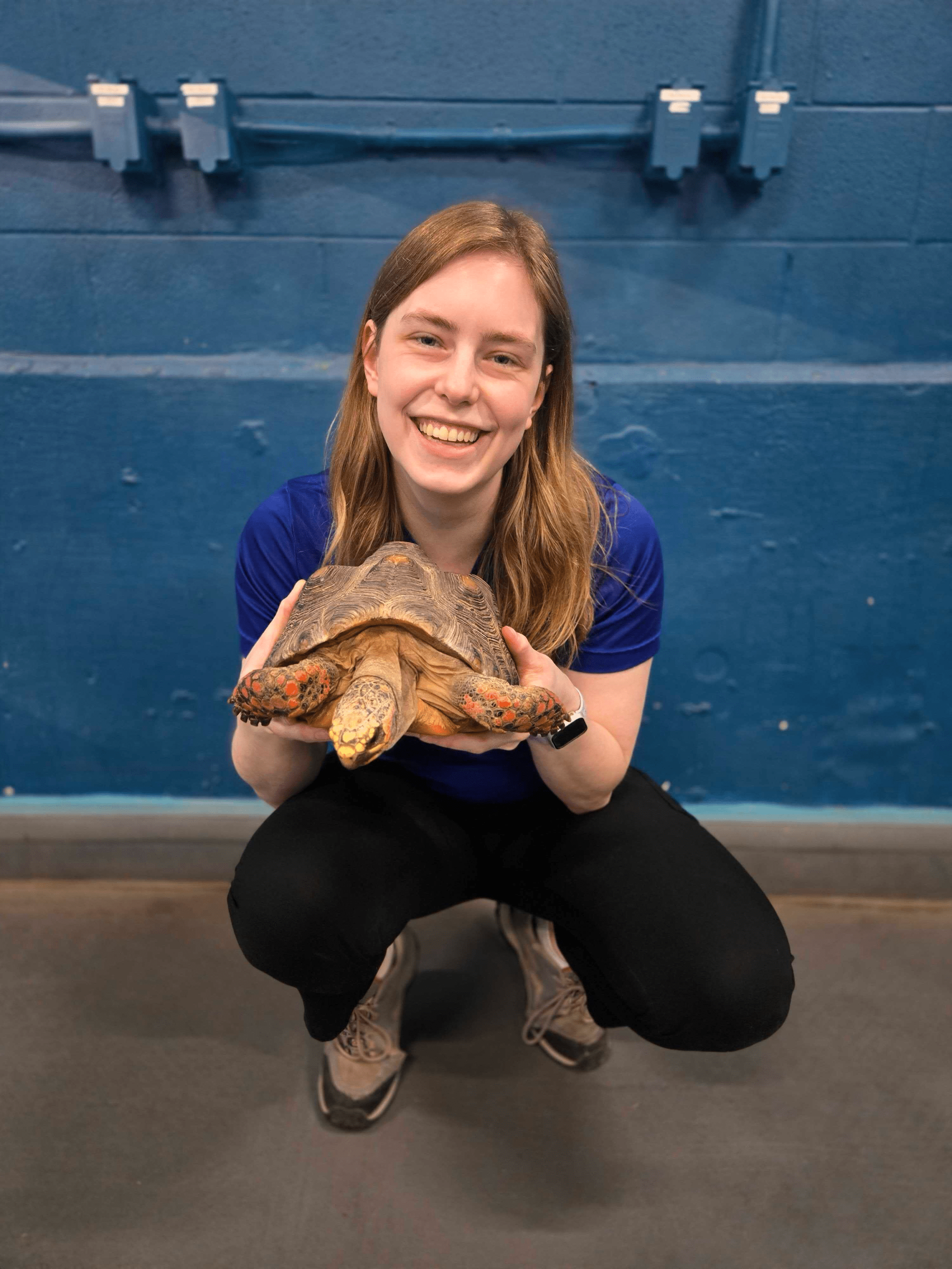 Smiling woman in blue shirt holds a tortoise