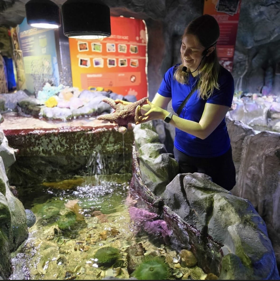Woman in blue shirt holds a starfish above a sea life interactive pool
