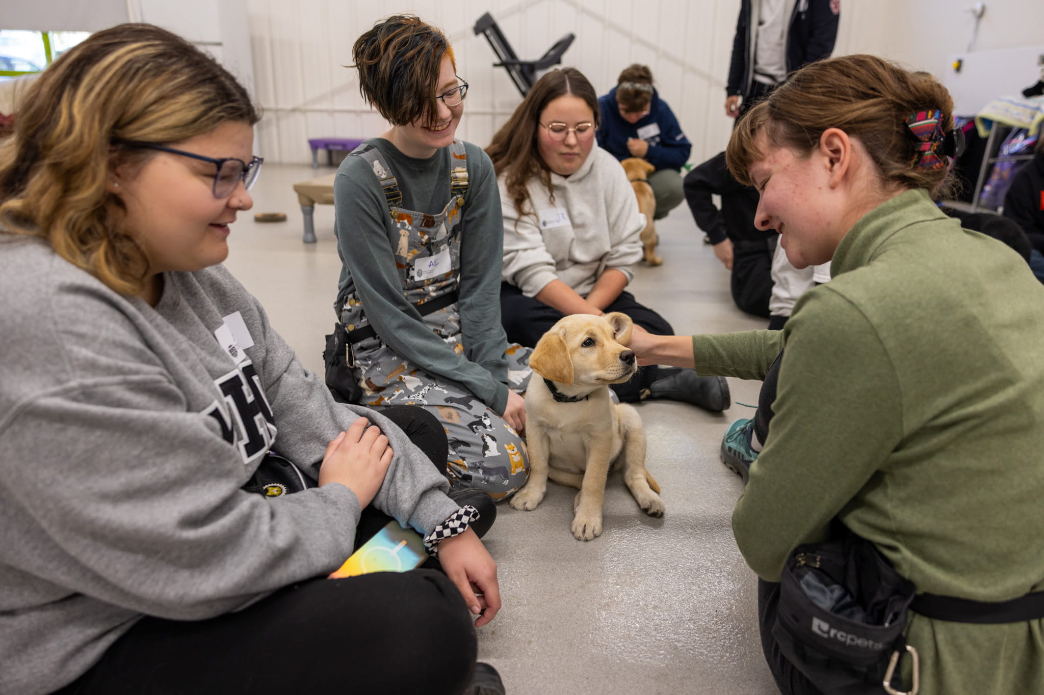 Four Service Dog & Canine Studies Management Diploma students sitting around and smiling and petting a puppy.
