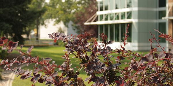 Exterior view of Vera Bracken Library