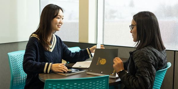 Two students studying