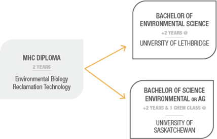 Degree Pathways Graphic