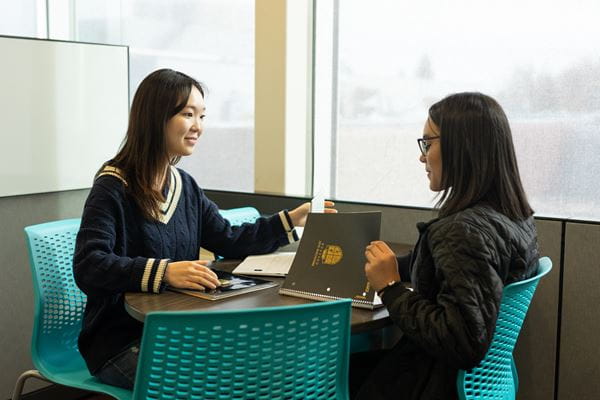 Two students studying